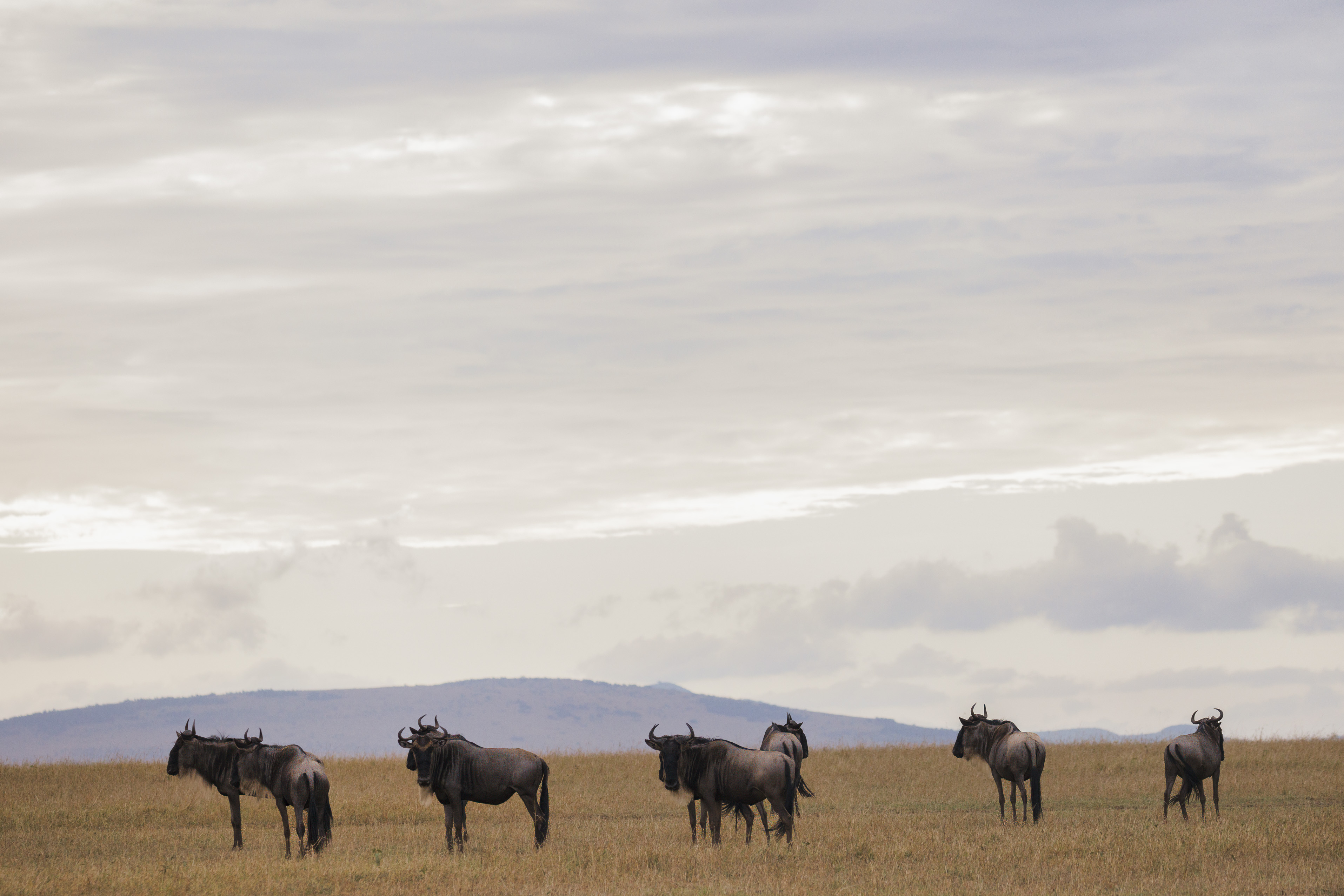 November 12, 2022-074005-3-Edit-Edit.jpg